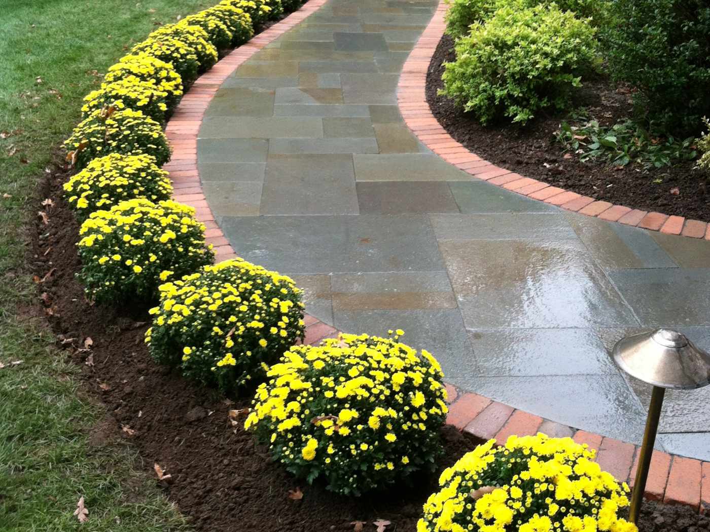 Thermal bluestone walkway with red brick soldier course border and garden landscaping in Ringwood